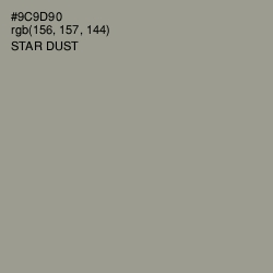 #9C9D90 - Star Dust Color Image